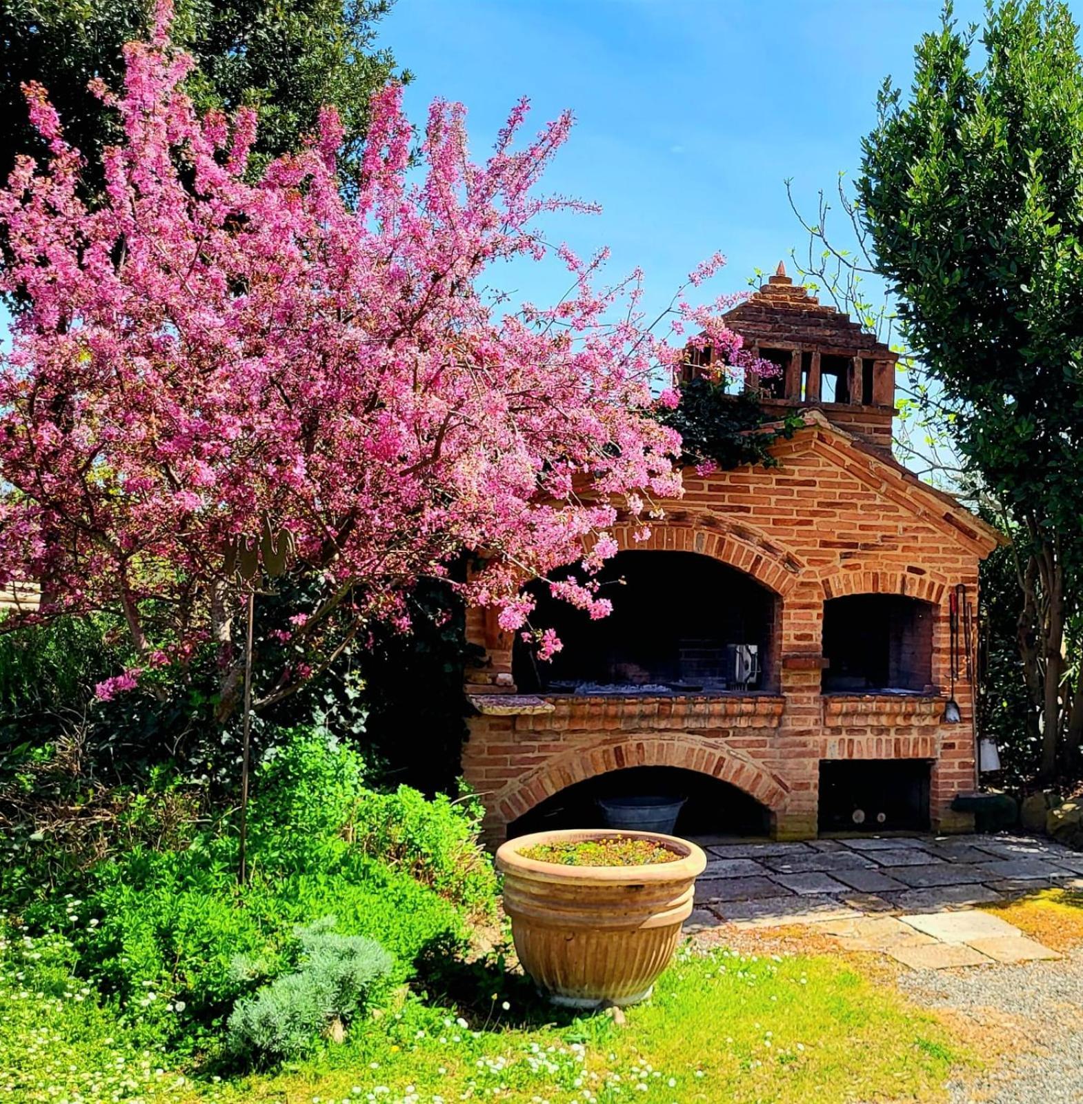 Podere Cunina Buonconvento Exterior photo