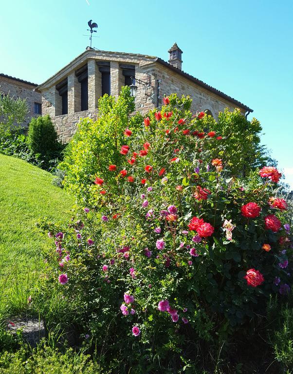 Podere Cunina Buonconvento Exterior photo
